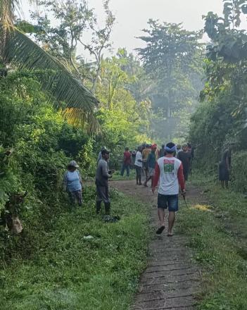 Gotong royong membersihkan lingkungan dan jalan Desa wilayah Desa Bengkala
