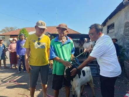 Bantuan Atensi Ternak Kambing Kepada Warga Lansia Potensial Yang Ada Di Desa Bengkala