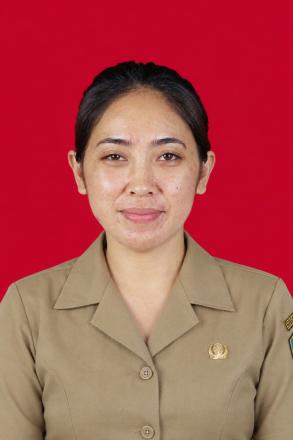 OPERATOR DESA